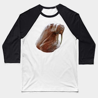 Walrus head statue Baseball T-Shirt